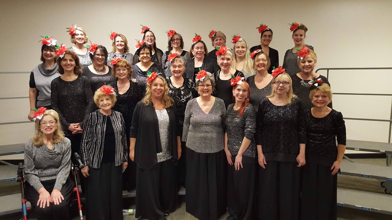 Performance at the Monroe Twp. Library